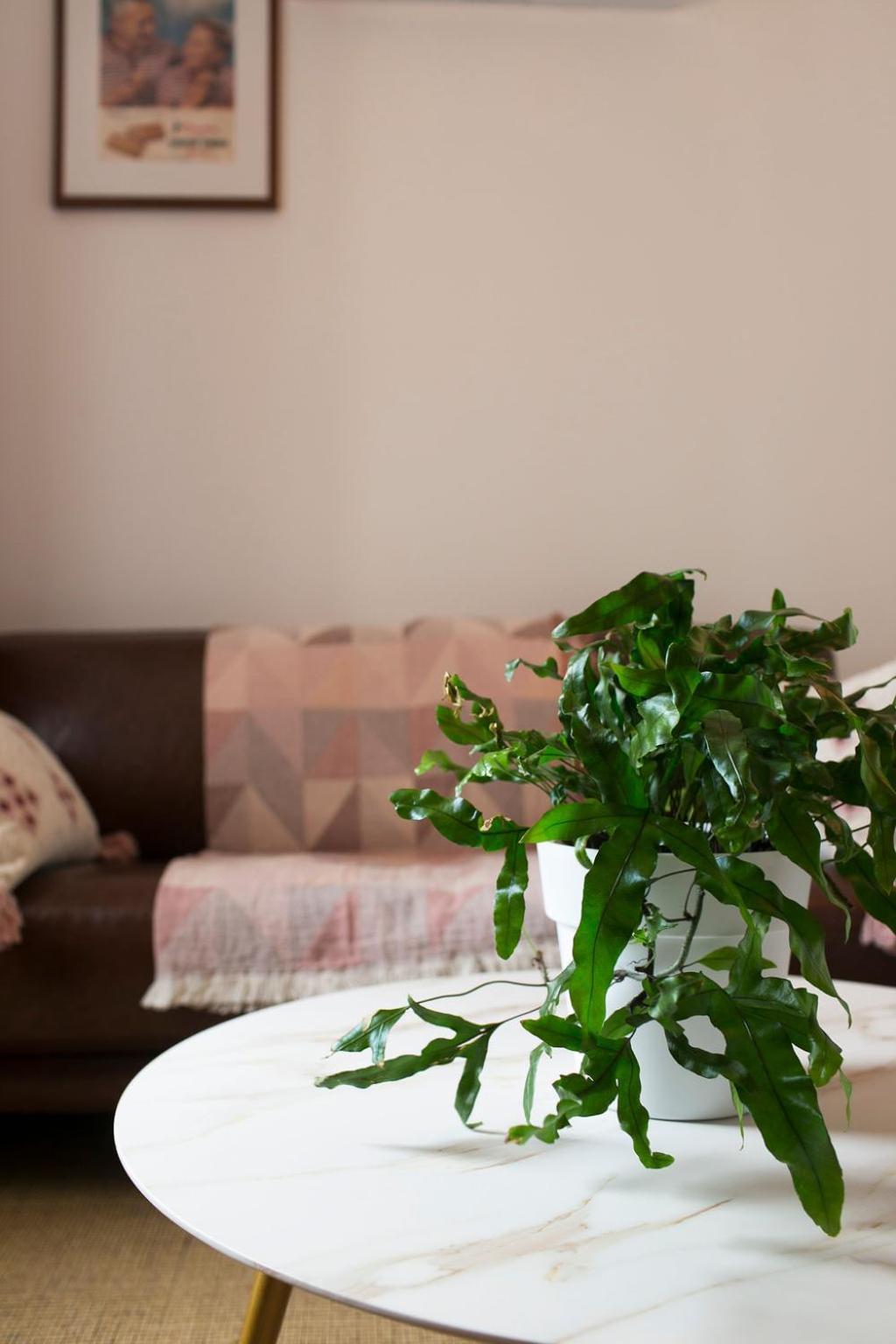 William Arnott Boutique Accommodation Morpeth ห้อง รูปภาพ